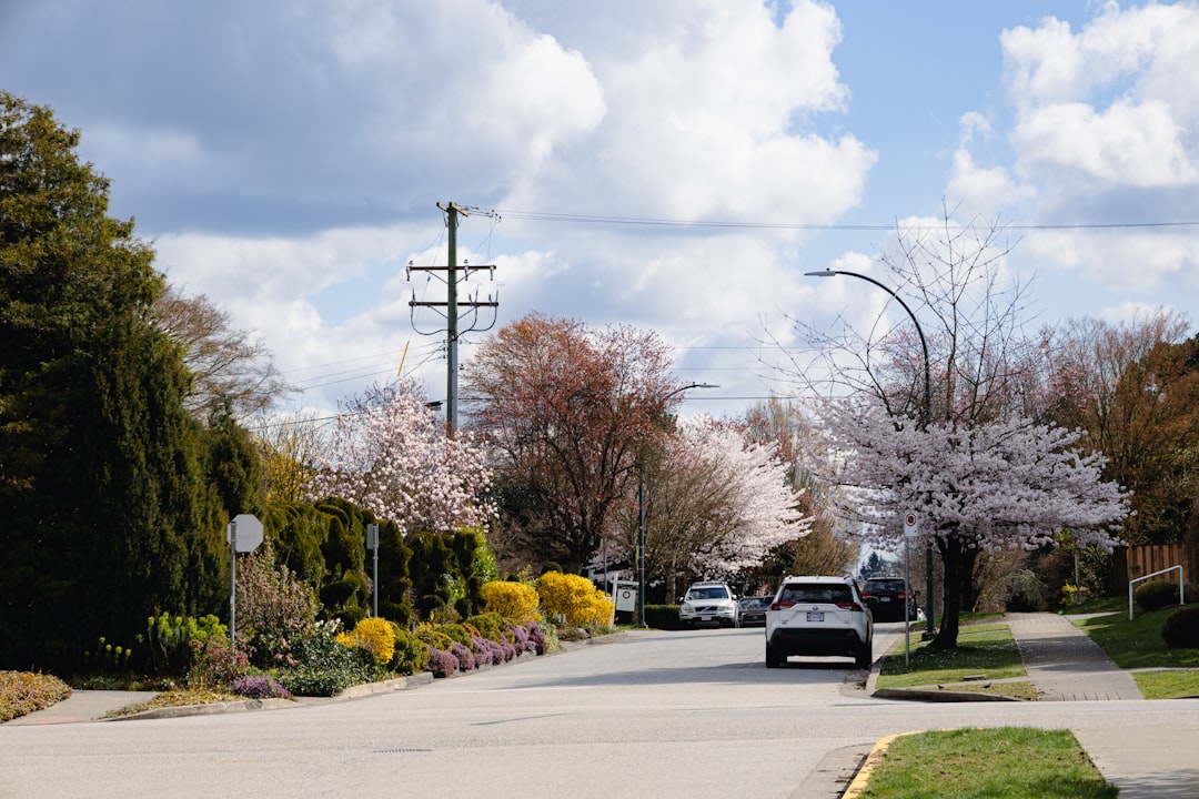 A picturesque, sunlit street in a charming Columbus, Indiana neighborhood with beautiful homes, illustrating the desirable community where homeowners are looking to sell their property.